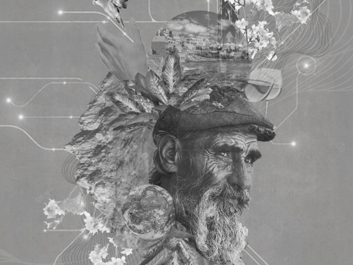 Urban Holistic Health “Aging in the&nbsp;City”